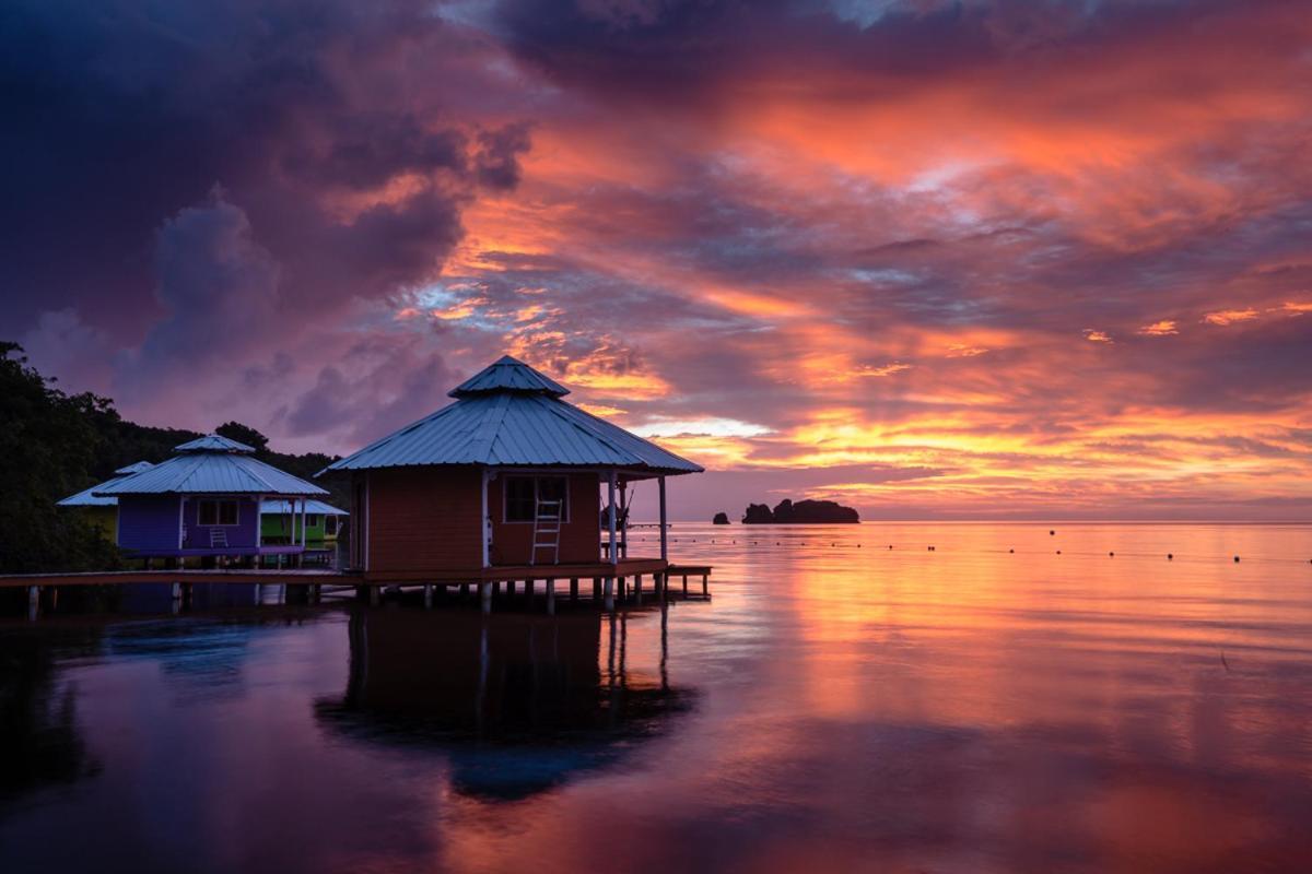 Mango Creek Lodge Port Royal Extérieur photo