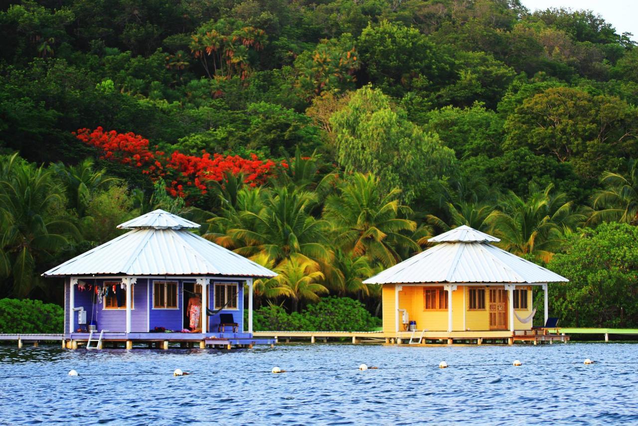 Mango Creek Lodge Port Royal Extérieur photo