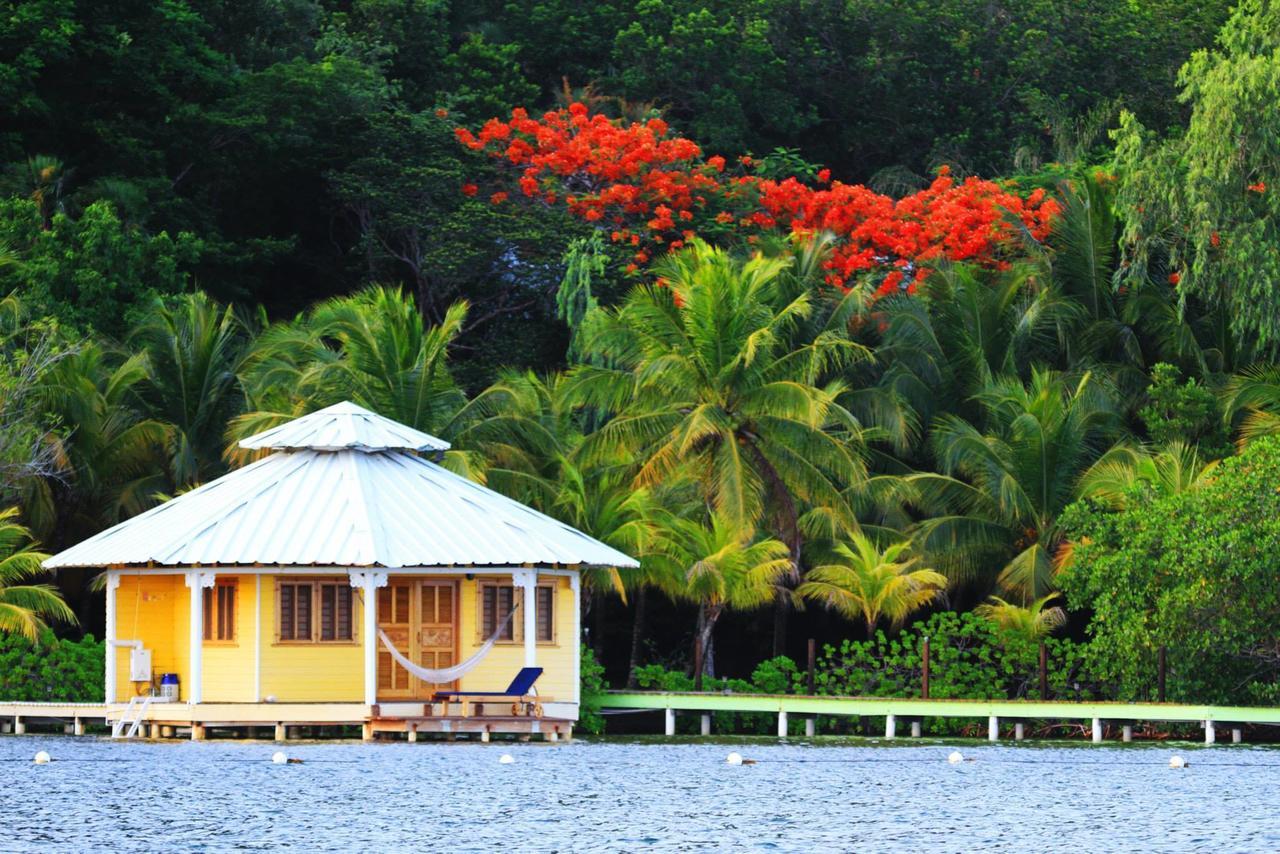 Mango Creek Lodge Port Royal Extérieur photo