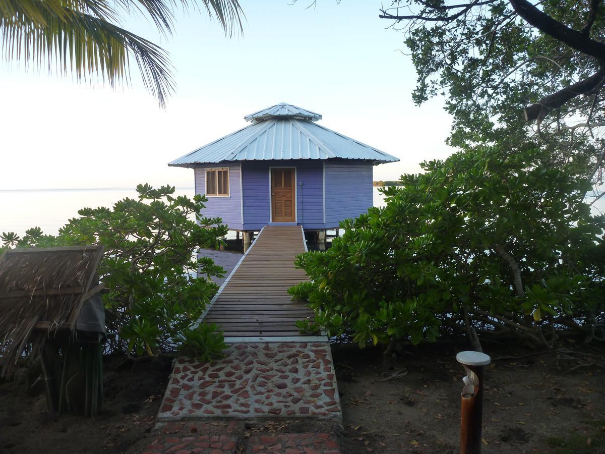 Mango Creek Lodge Port Royal Extérieur photo