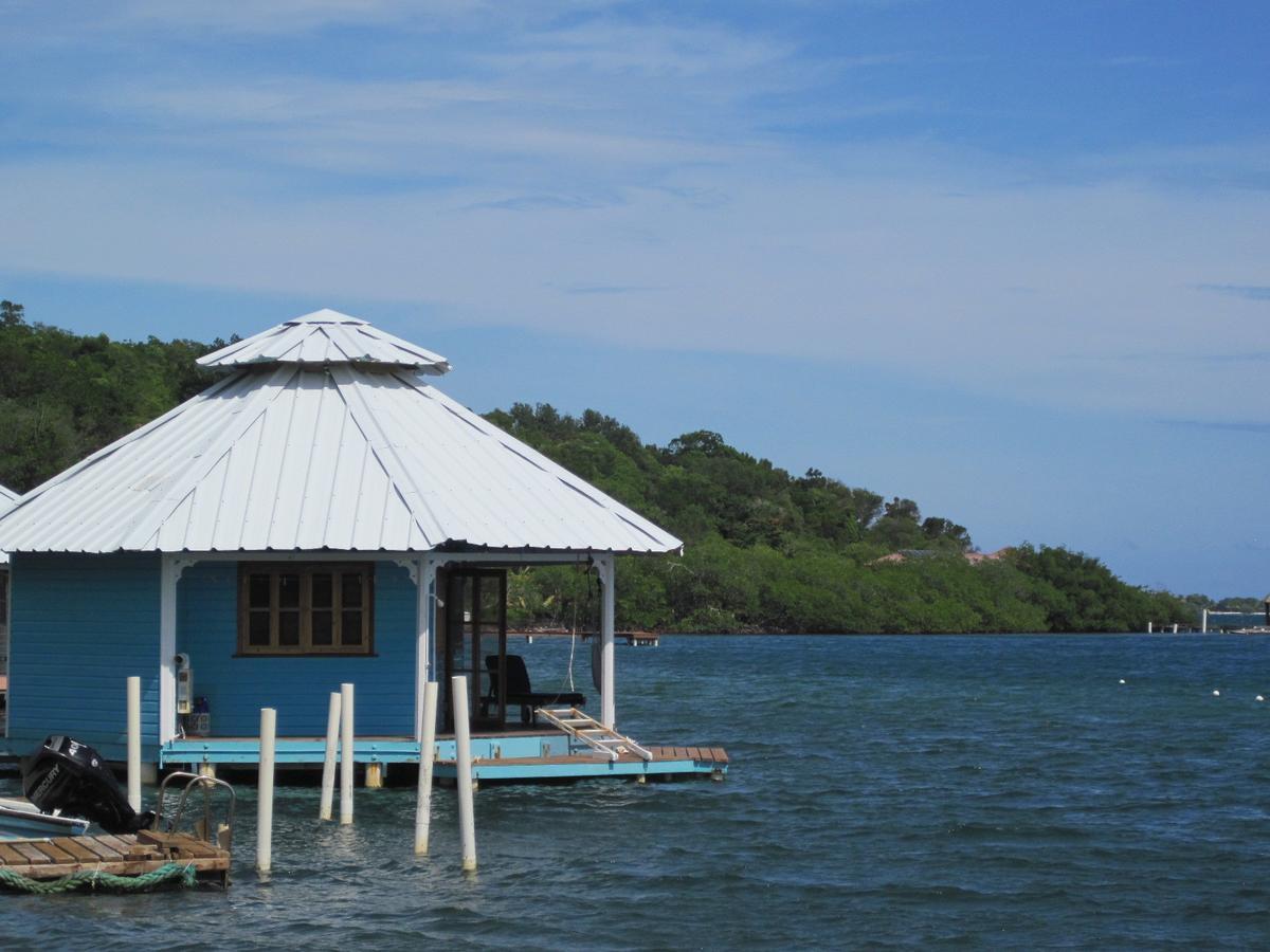 Mango Creek Lodge Port Royal Extérieur photo