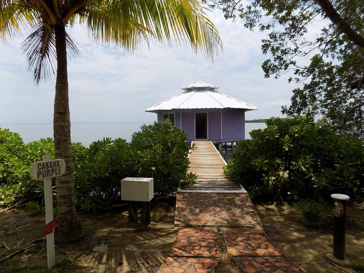 Mango Creek Lodge Port Royal Extérieur photo