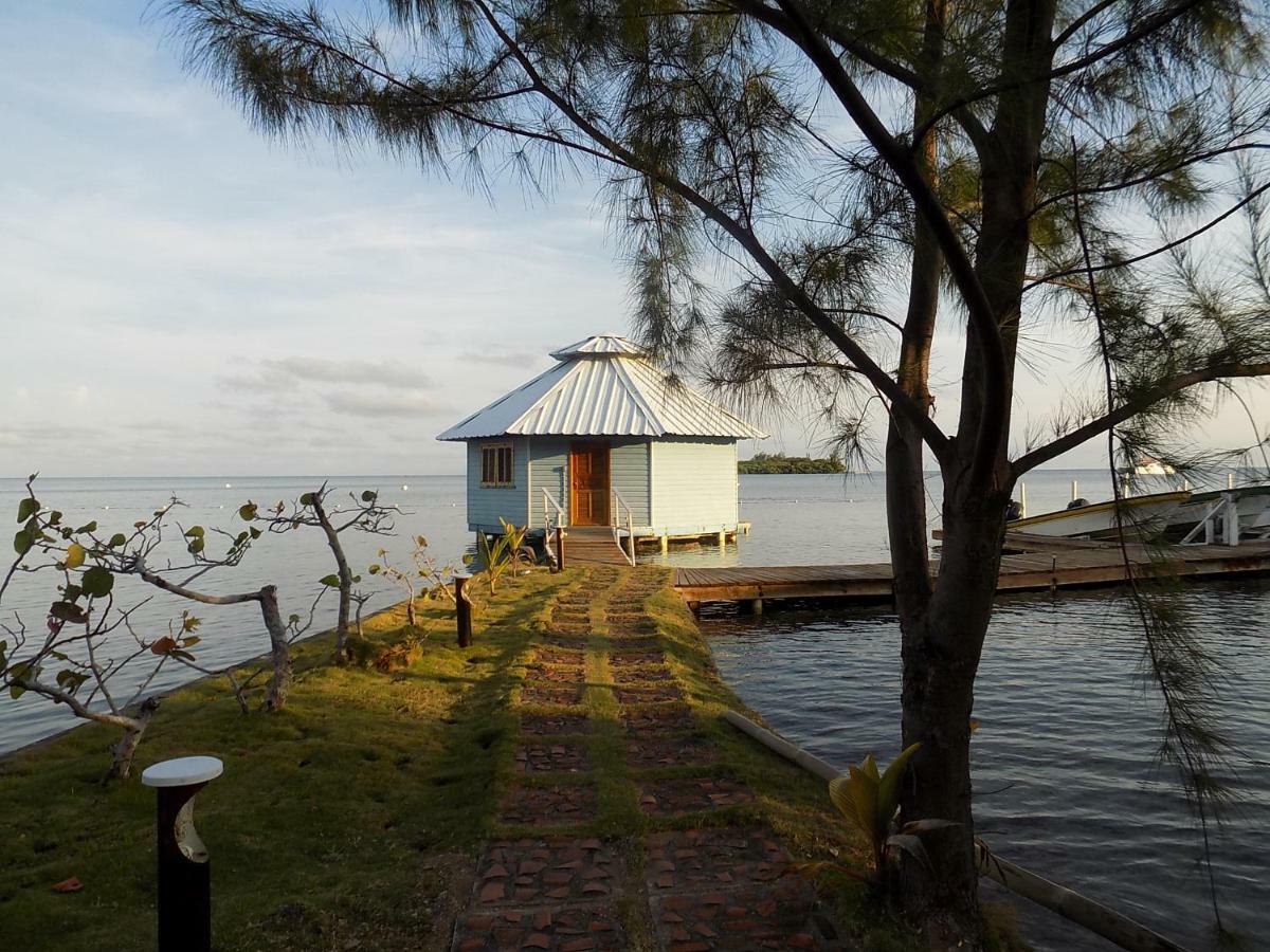 Mango Creek Lodge Port Royal Extérieur photo