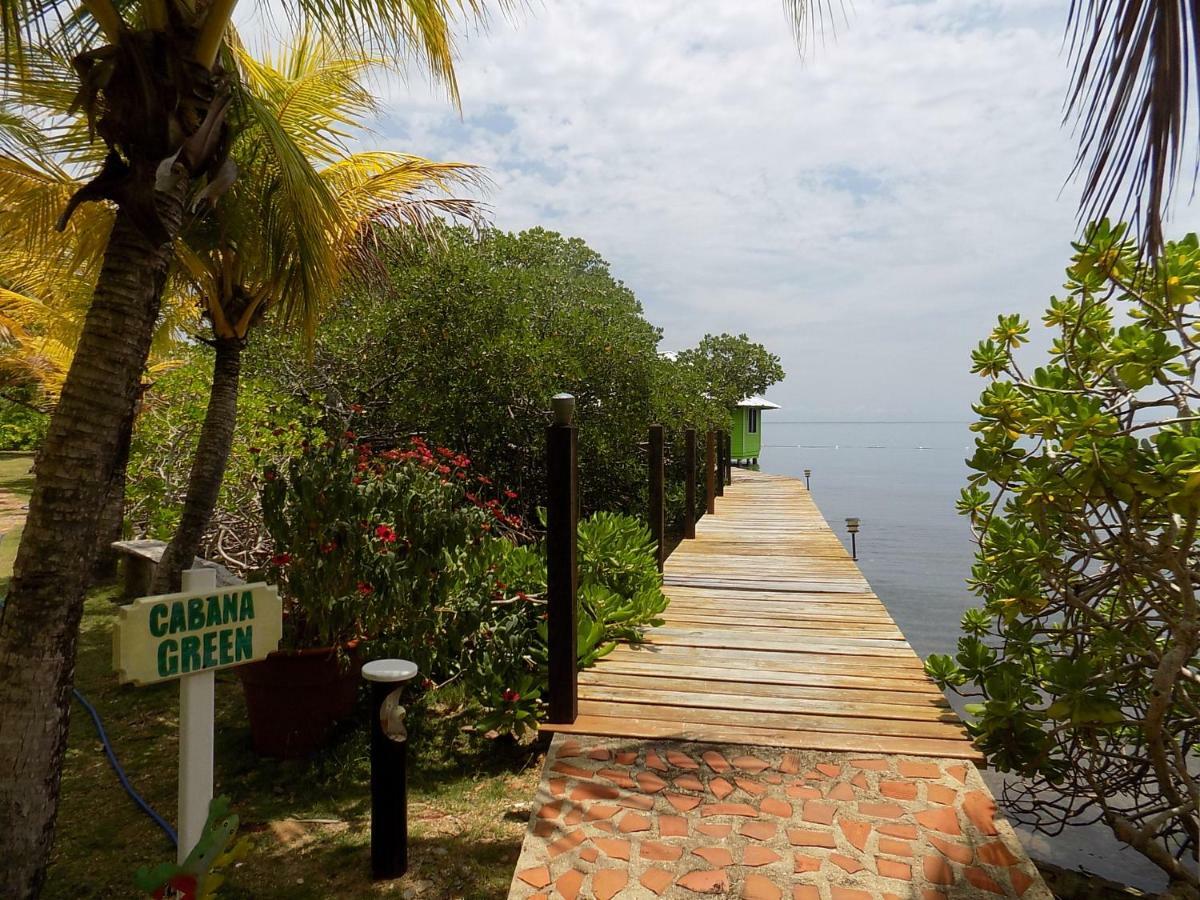 Mango Creek Lodge Port Royal Extérieur photo