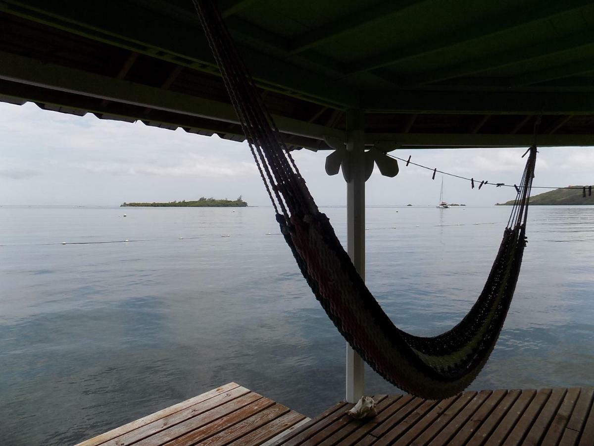 Mango Creek Lodge Port Royal Extérieur photo